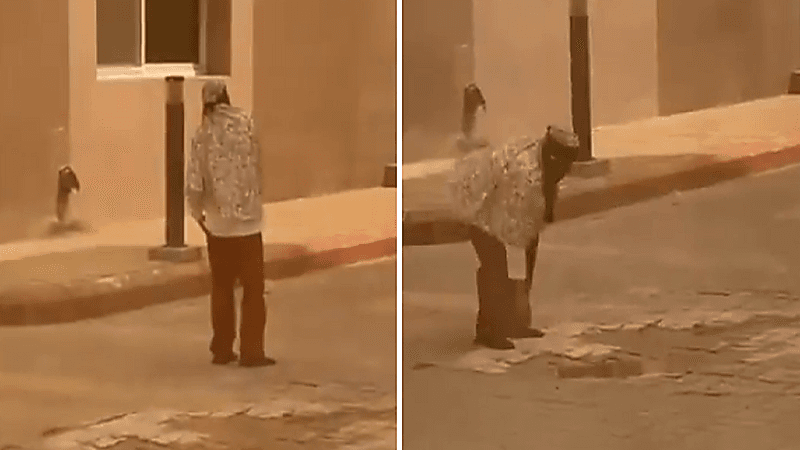 جامعة الباحة تتحرك في واقعة قيام عاملة نظافة بسلوك مشبوه بشطر الطالبات بالمخواة