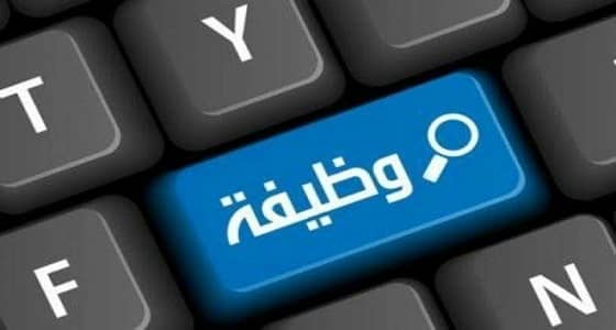 وظائف للرجال في ميناء ينبع التجاري