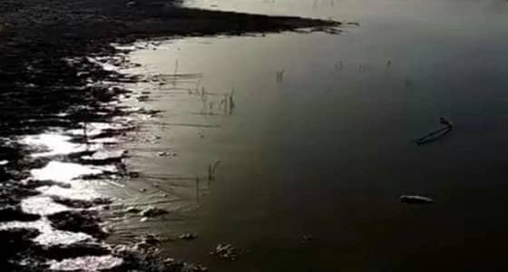 شاهد.. مواطن يوثق تجمد مياه في وادي الرمة