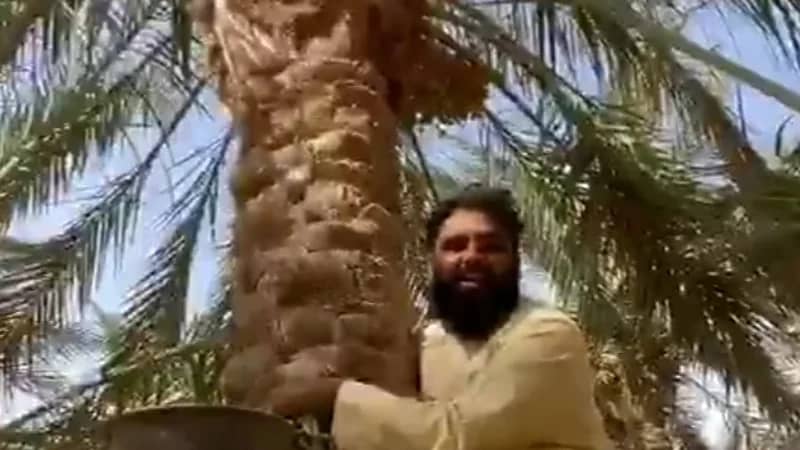 وافد يقلد حركات "الزعاق" أثناء شرح الطقس ويقول:"إذا داخل ميرزم"  "فيديو"