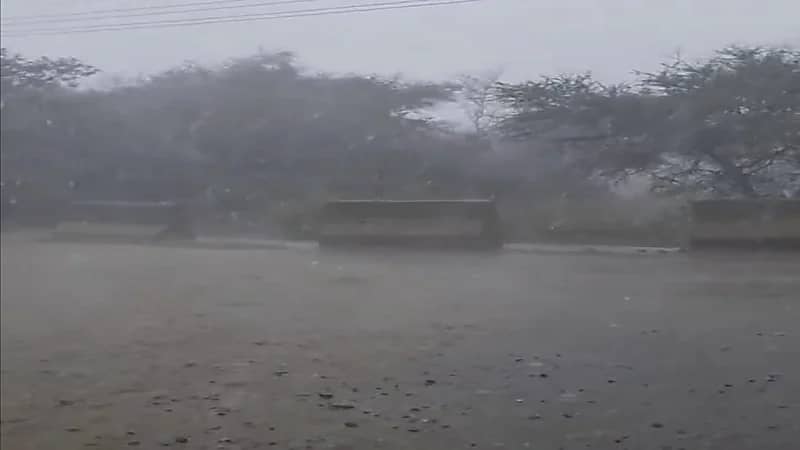 شاهد.. أمطار بردية كثيفة بشفا الطائف