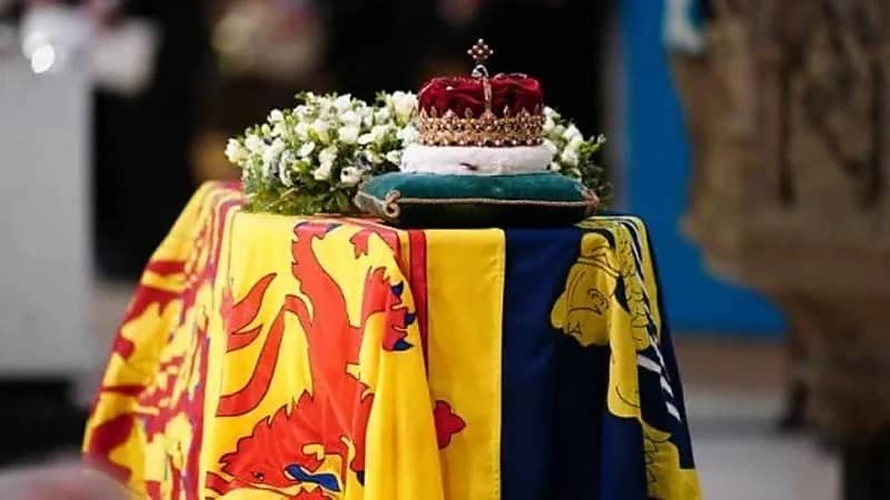 الملك تشارلز يرث طيور البجع في بريطانيا بعد وفاة الملكة إليزابيث