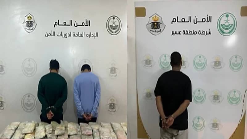 بالفيديو.. سقوط مجرمين في قبضة رجال الأمن