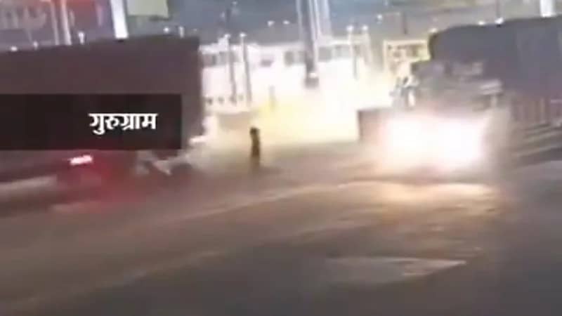 شاهد..مطاردة شرسة بين شرطة نيودلهي وشخص يقود شاحنة محملة بالأبقار