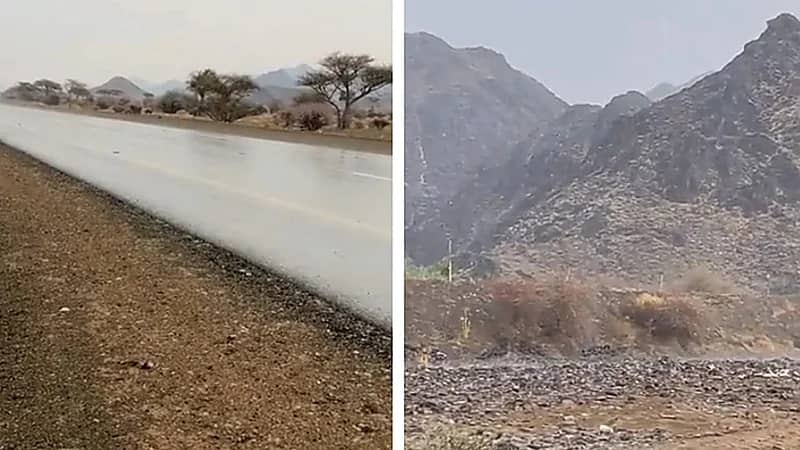 الأمطار تزين شوارع العشيرة والنقيعة بالمدينة ..فيديو