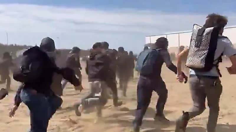 نشطاء البيئة ينتفضون ضد مصنع تسلا في ألمانيا .. فيديو