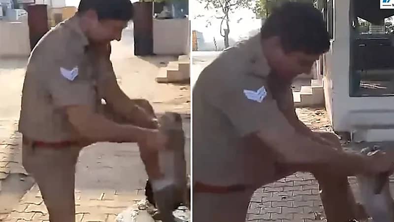 شرطي يجري إنعاش قلبي رئوي لقرد تعرض للإغماء .. فيديو