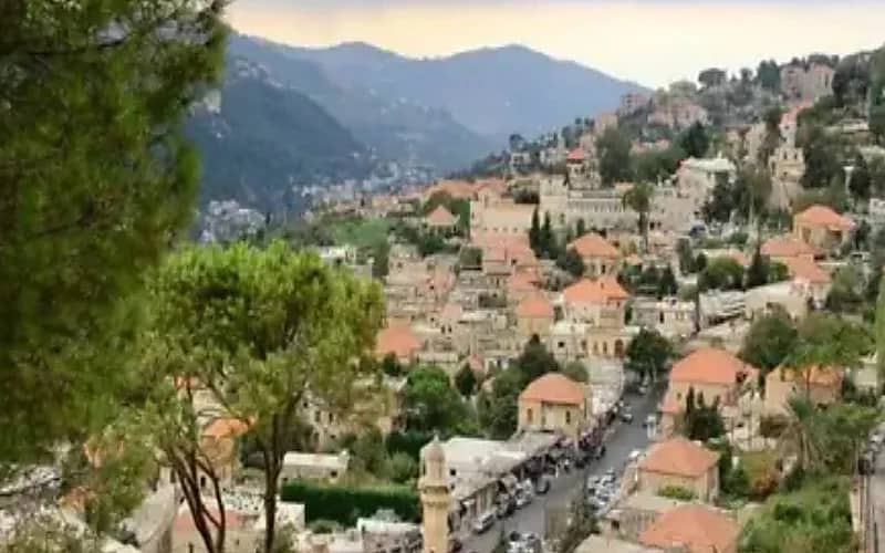 العثور على طفل سوري مربوط في غابة "بعقلين".. فيديو