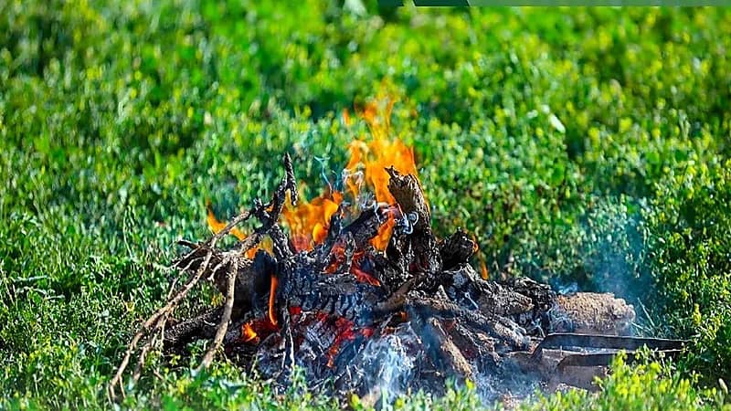 ضبط مواطن لإشعاله النار في أراضي الغطاء النباتي بالرياض