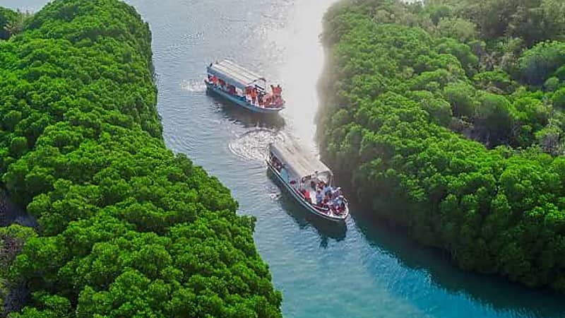 جزيرة فرسان: مزيج ساحر من الطبيعة والتاريخ في قلب البحر الأحمر .. فيديو