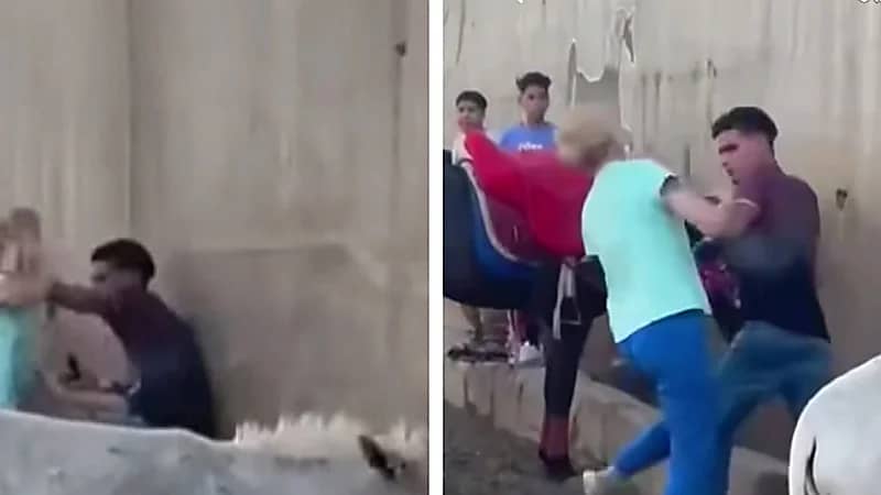 مشهد صادم لسائحة تهاجم شابًا اعتدى على حمار قرب الأهرامات .. فيديو