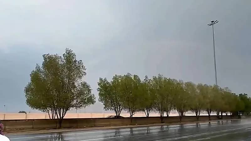 العقيل:هناك توقعات باستمرار الأمطار على مدينة الرياض.. فيديو
