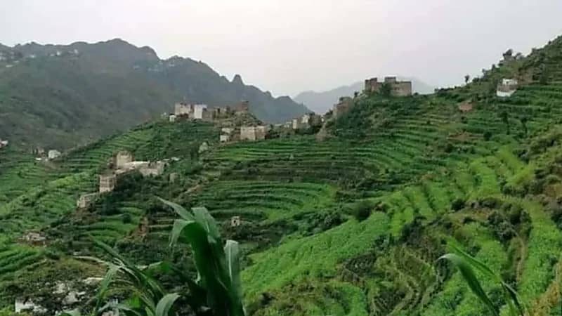 شاب يقتل والده وزوجة أبيه ويُخفي الجثتين داخل حضيرة مواشي