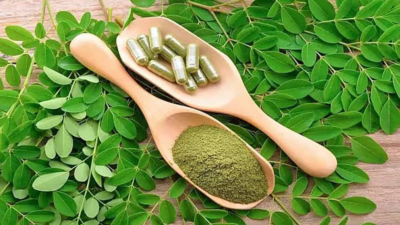 النمر يحذّر من الترويج الخاطئ للمورينغا: لا تعالج الضغط ولا أمراض القلب