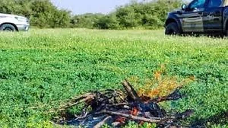 ضبط مواطن أشعل النار في أراضي الغطاء النباتي في حائل