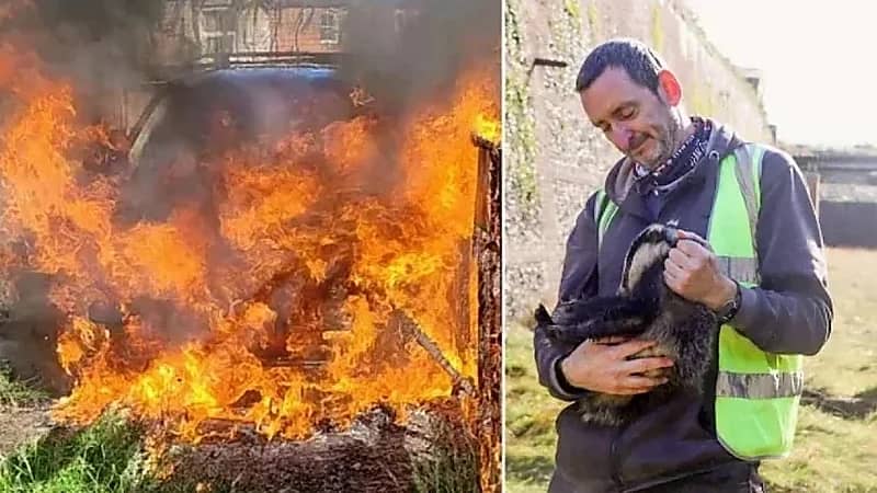 سيدة تشعل سيارة جارها انتقاماً من حيوانه الأليف