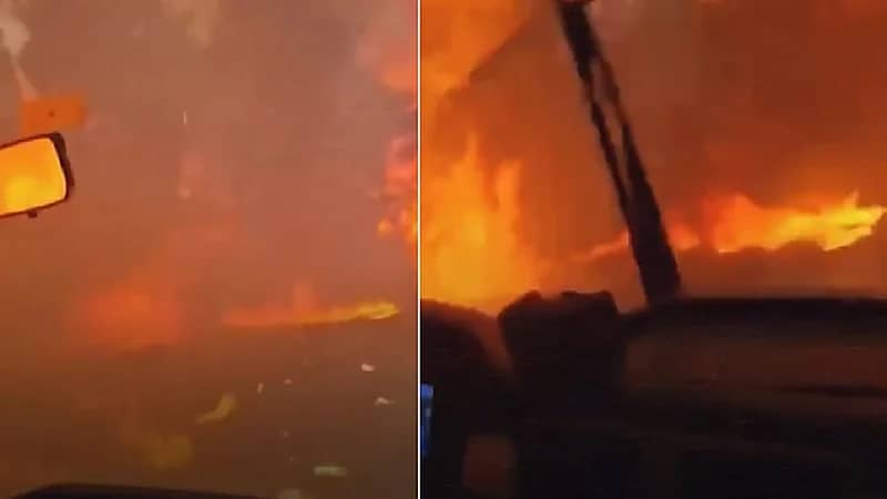 فريق إطفاء ينجو بأعجوبة من ألسنة نيران حاصرتهم في غابات إزمير.. فيديو