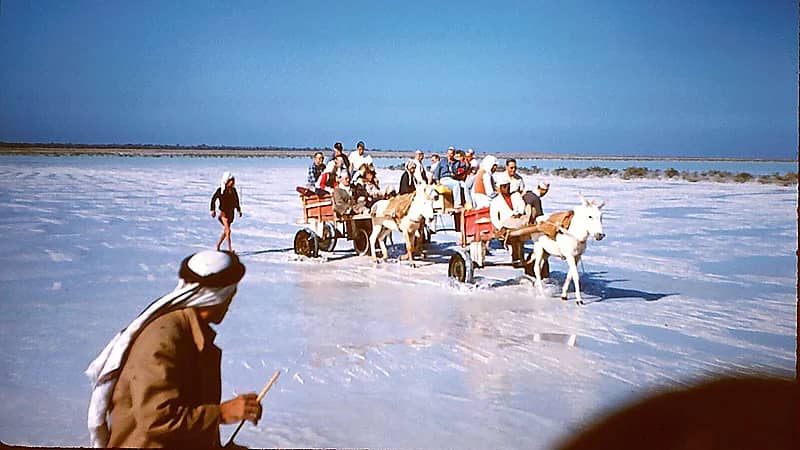صورة تاريخية نادرة تظهر رحلة زوار أجانب من القطيف إلى تاروت بعربات القاري .. صور