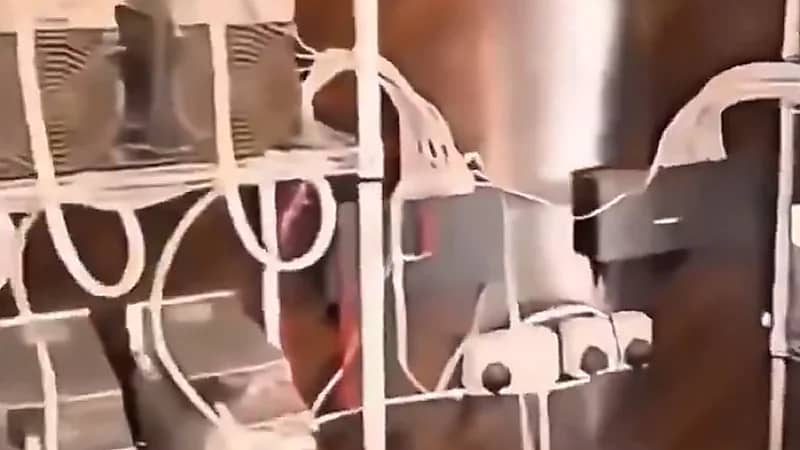 ضبط كويتي يقوم بتعدين العملات المشفرة داخل منزل