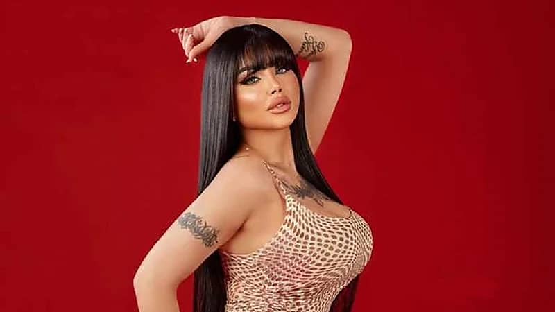 القبض على الراقصة ليلى بتهمة نشر مقاطع فيديو مخلة