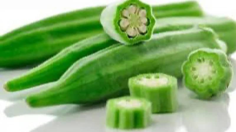 WhatsApp Image 2025-09-07 at 5.52.21 PM.jpeg