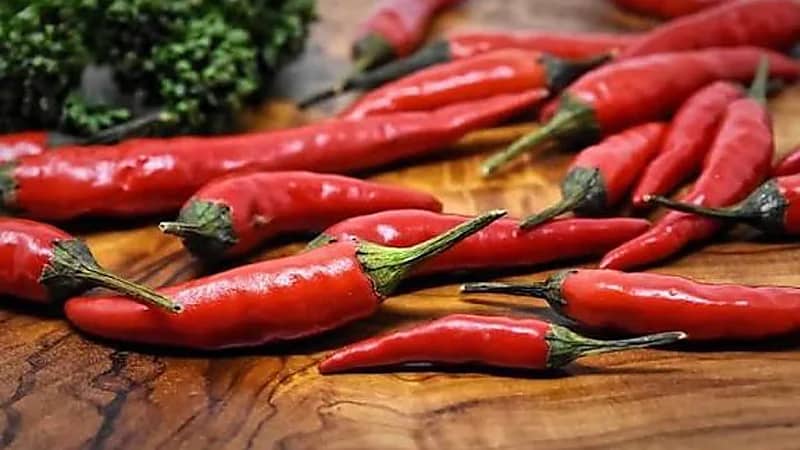 الفلفل الحار: فوائد صحية متعددة للمناعة والقلب والجهاز الهضمي  .. فيديو