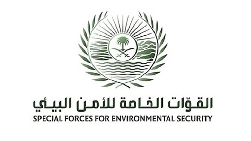 ضبط مخالفًا لنظام البيئة لاستخدامه حطبًا محلياً في أنشطة تجارية بعسير