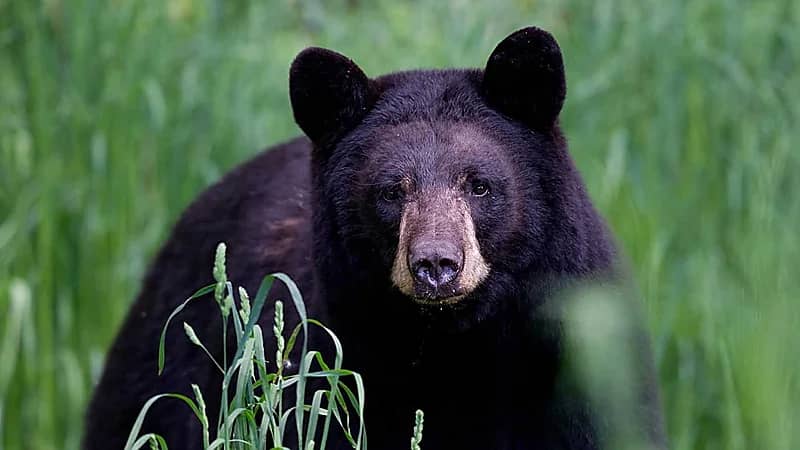 WhatsApp Image 2025-09-25 at 5.37.55 PM.jpeg