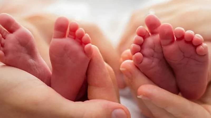 WhatsApp Image 2025-09-27 at 5.33.05 PM.jpeg