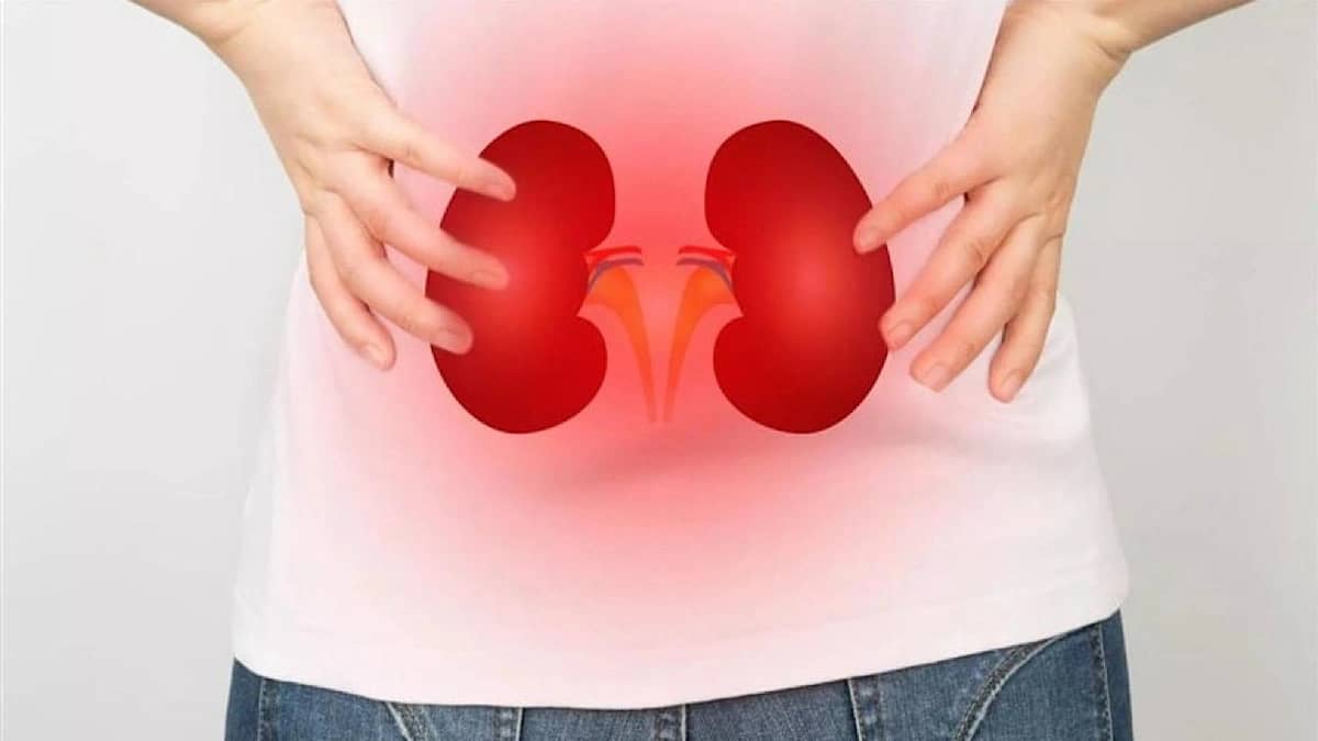 WhatsApp Image 2025-10-02 at 1.14.09 PM.jpeg