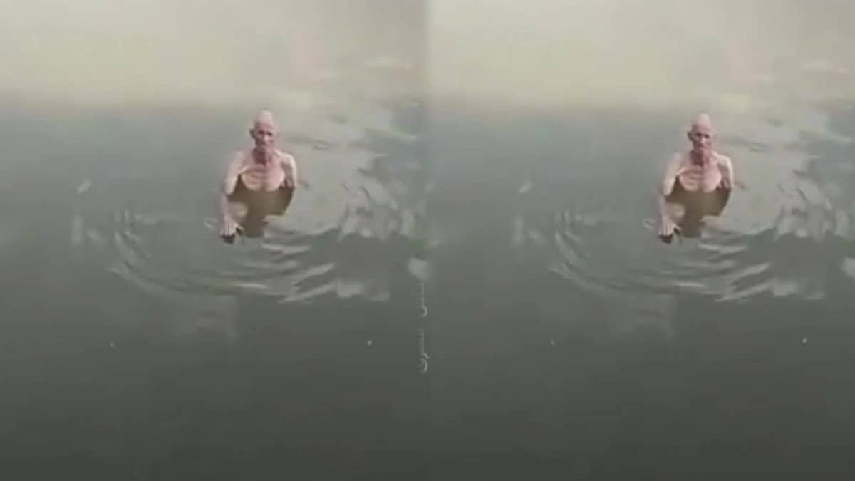 ارتفاع منسوب مياه النيل يتسبب في غرق عدد من القرى المصرية ..فيديو