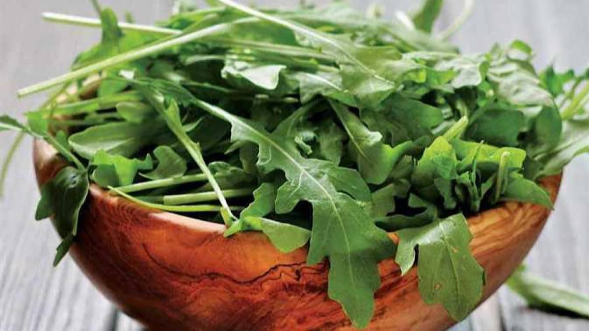 WhatsApp Image 2025-10-04 at 2.18.21 PM.jpeg