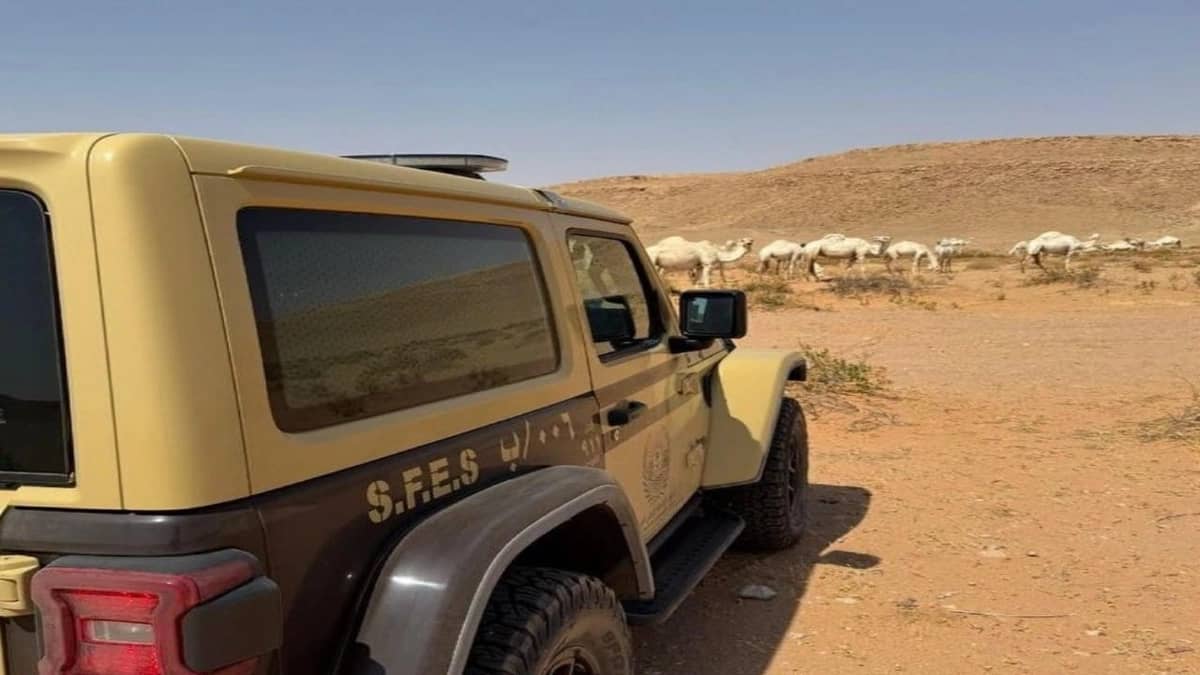 ضبط مخالف لارتكابه مخالفة رعي في محمية الملك عبدالعزيز الملكية