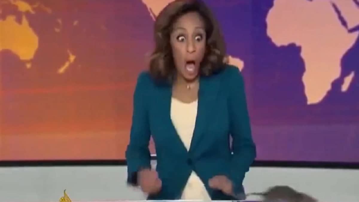 فأر ضخم يقتحم استديو ويخيف مذيعة أثناء بث تلفزيوني مباشر.. فيديو