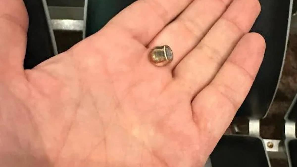 WhatsApp Image 2025-10-11 at 1.35.31 PM.jpeg