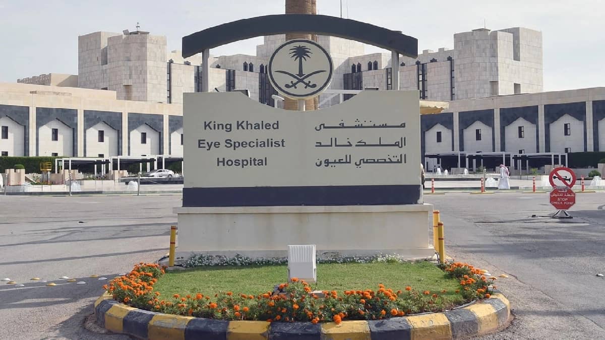 WhatsApp Image 2025-10-13 at 9.31.43 PM.jpeg