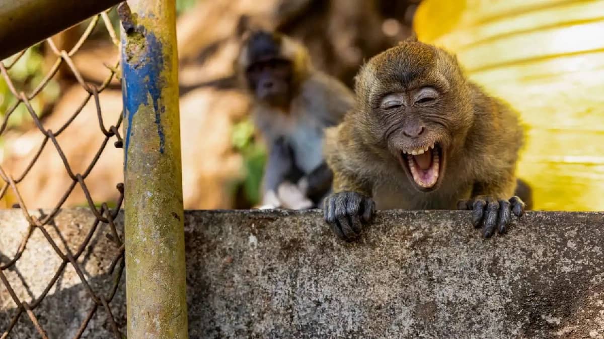 WhatsApp Image 2025-10-14 at 4.35.11 PM.jpeg