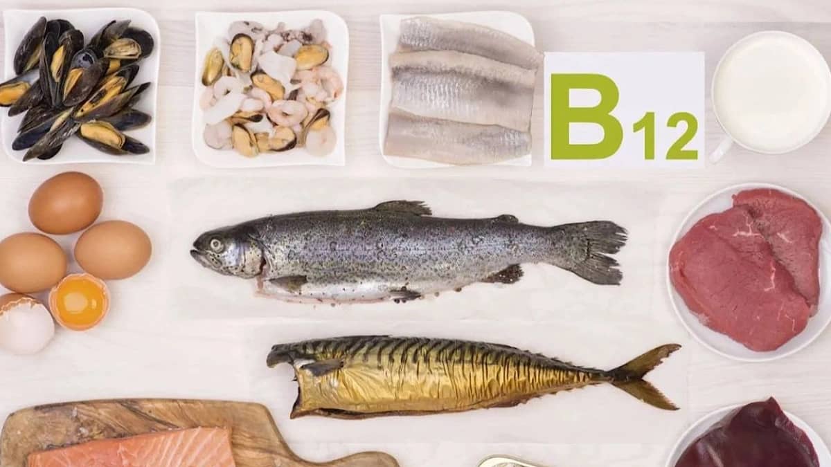 WhatsApp Image 2025-10-16 at 7.03.21 PM.jpeg