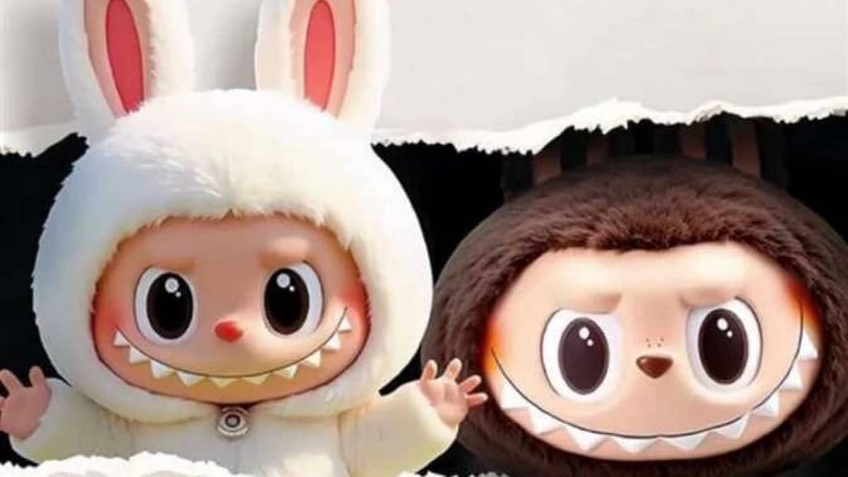 WhatsApp Image 2025-10-17 at 8.22.10 PM.jpeg