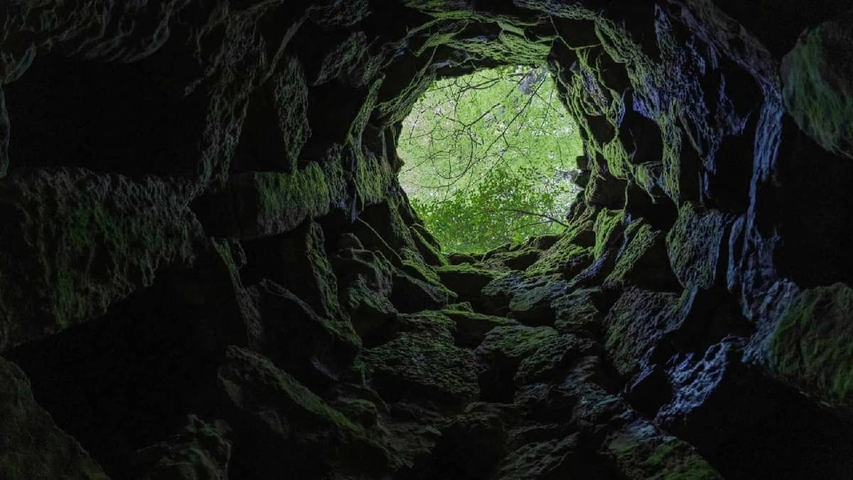 شابة مفقودة يعثر عليها رعاة أغنام جثة ببئر.. فيديو