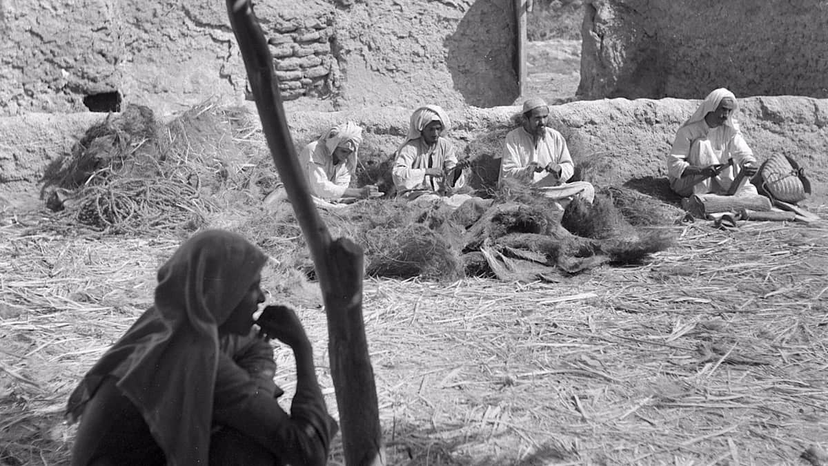 WhatsApp Image 2025-10-25 at 11.36.46 AM.jpeg