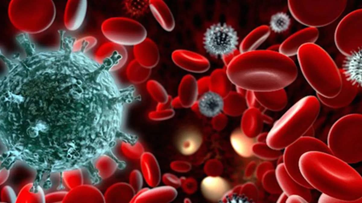 استشاري: اختلال الدم يزيد خطر الجلطات وسلوك الإنسان سبب رئيسي .. فيديو