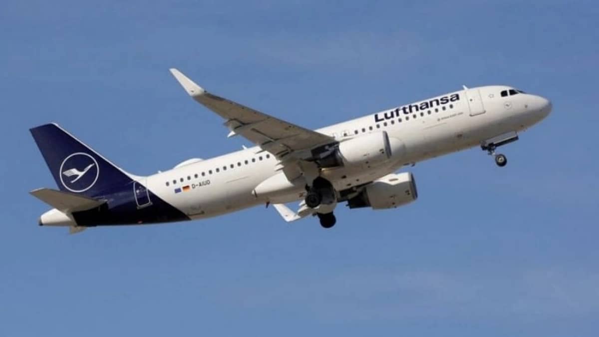 راكب يهاجم مراهقين بشوكة معدنية على متن طائرة ويُجبرها على الهبوط الطارئ