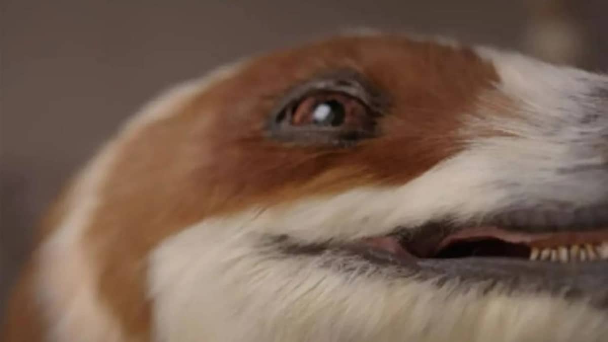 روبوت صيني على شكل ديناصور يذهل العالم بتفاعله وواقعيته .. فيديو