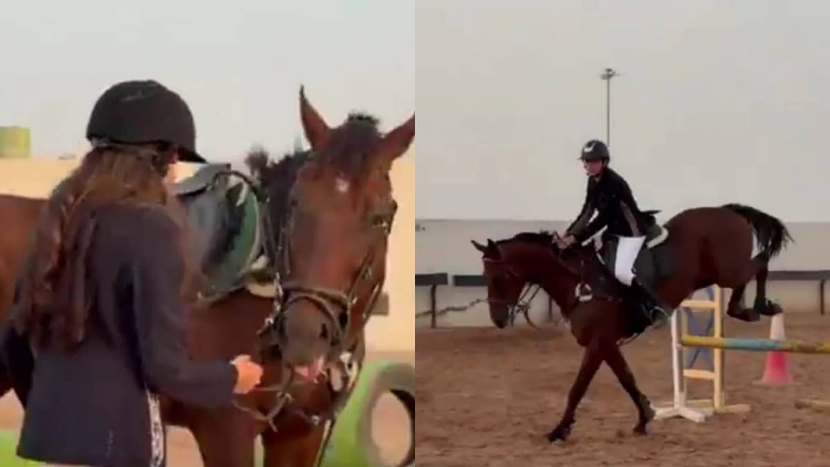 WhatsApp Image 2025-11-03 at 2.47.41 AM.jpeg