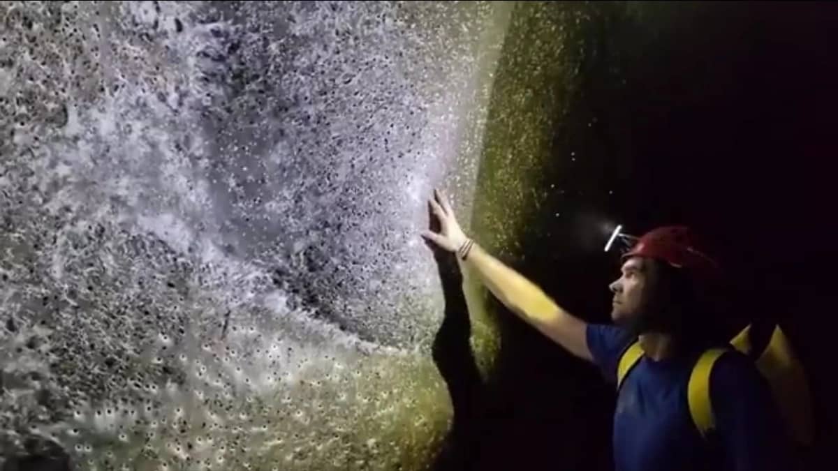 WhatsApp Image 2025-11-07 at 11.02.36 PM.jpeg