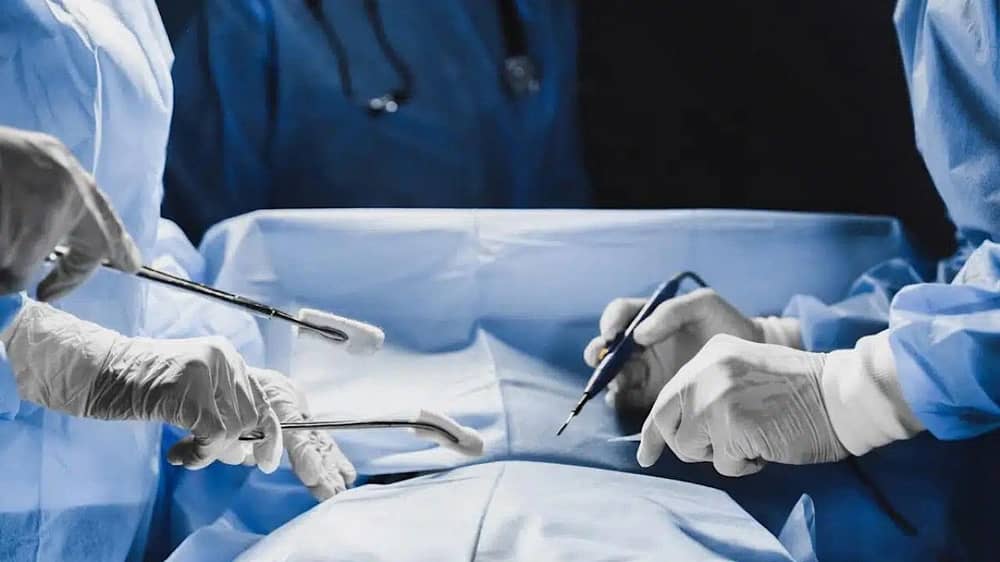 WhatsApp Image 2025-11-15 at 2.53.56 PM.jpeg