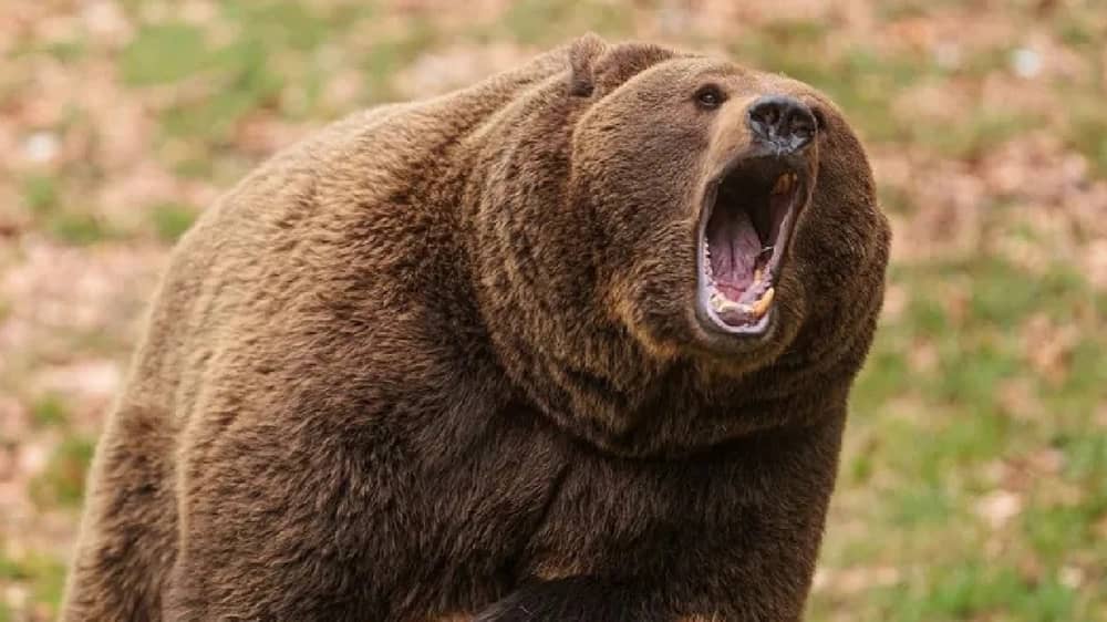 WhatsApp Image 2025-11-15 at 4.38.29 PM.jpeg