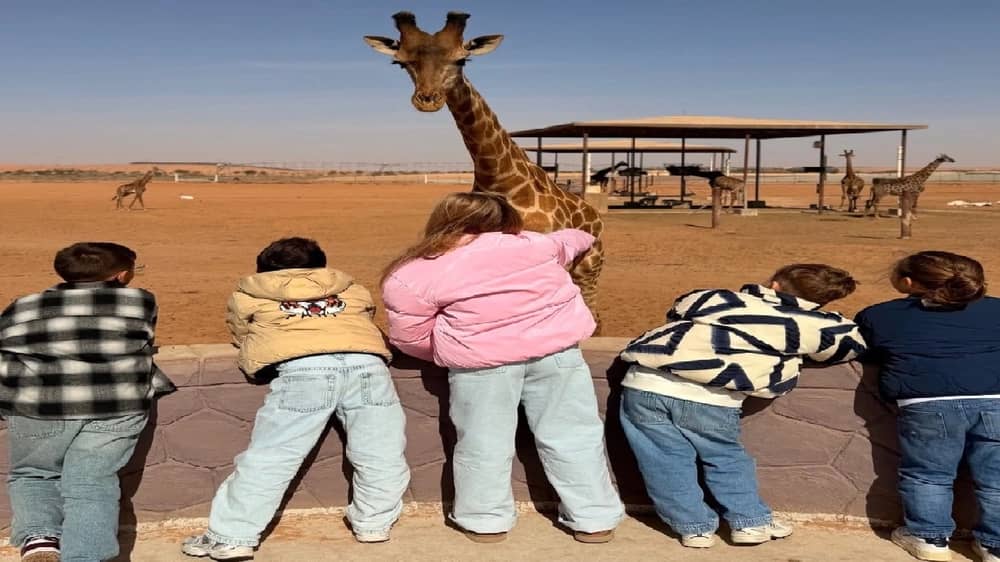 WhatsApp Image 2025-12-23 at 8.40.59 PM.jpeg