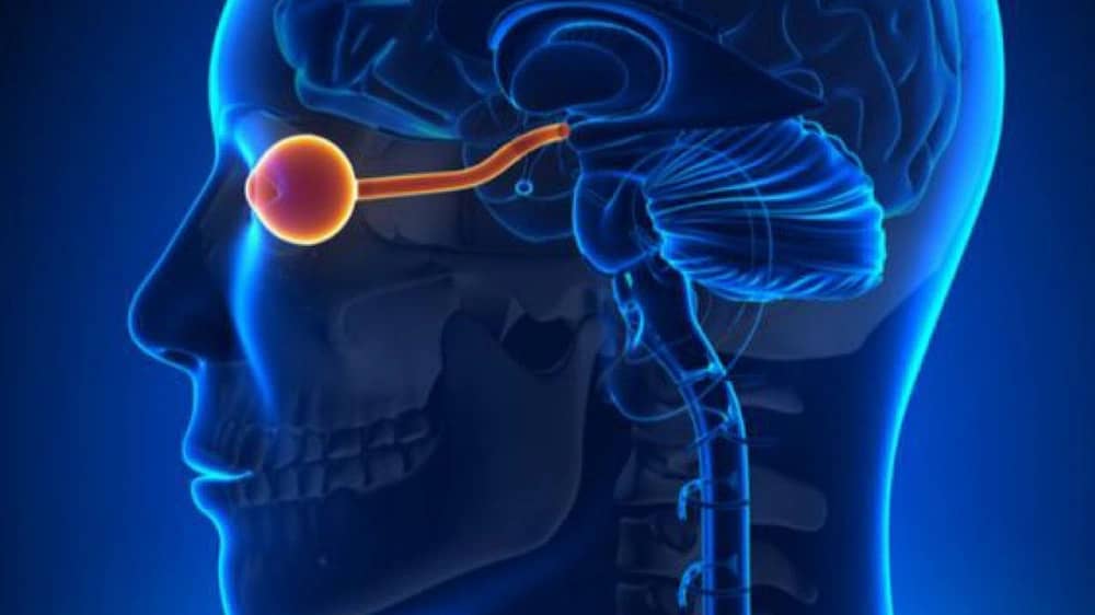 شبكية العين قد تكشف مبكرًا عن خطر الإصابة بالخرف